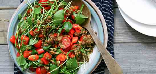 Recept van het Voedingscentrum: Posteleinsalade met linzen en tomatendressing