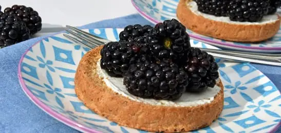 Afbeelding van Uitgelicht Recept: Beschuit met vanillebramen