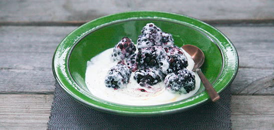 Recept van het Voedingscentrum: Honingyoghurt met bramen