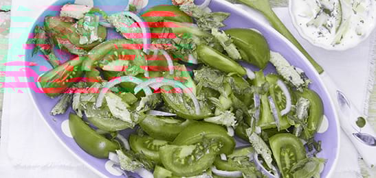 Recept van het Voedingscentrum: Tomatensalade met sardines